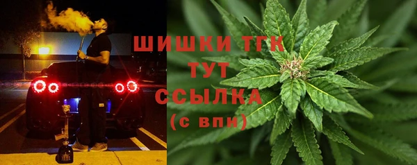 гидра Кодинск