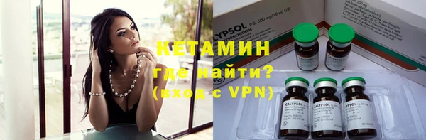 гидра Кодинск