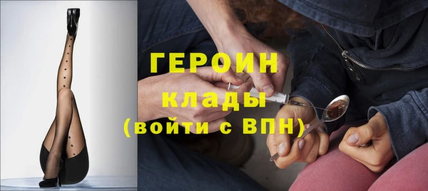 гидра Кодинск