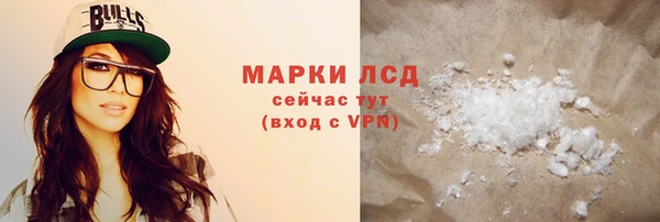 гидра Кодинск