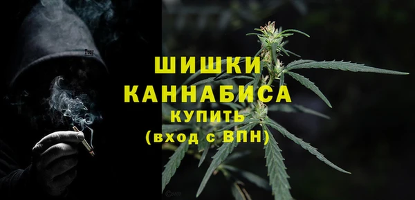 гидра Кодинск