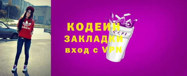 гидра Кодинск