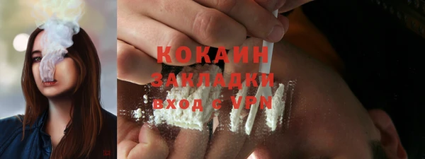 гидра Кодинск