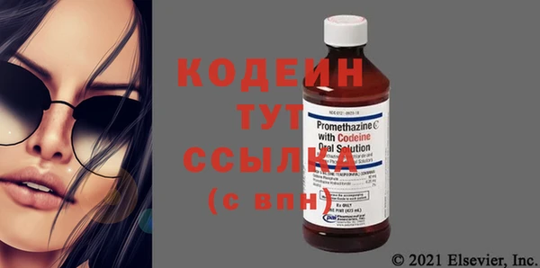 гидра Кодинск