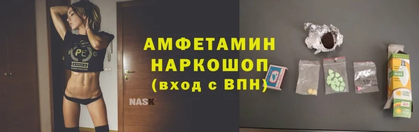 гидра Кодинск