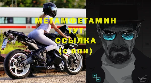 гидра Кодинск