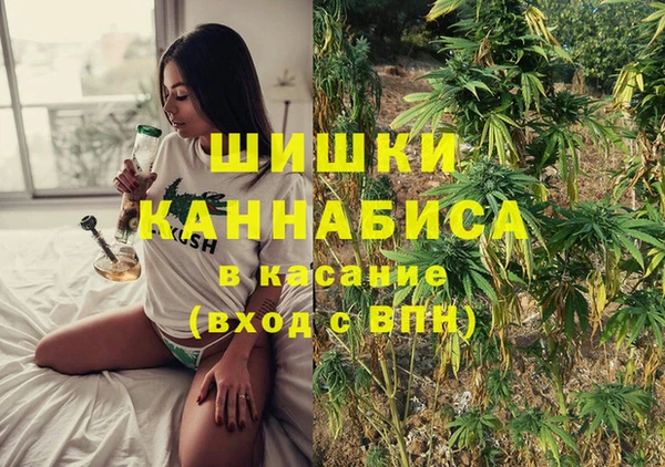 гидра Кодинск