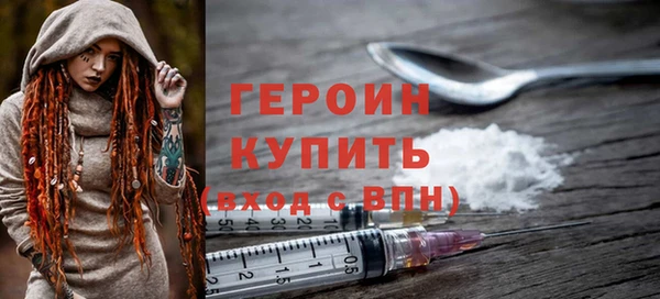 гидра Кодинск