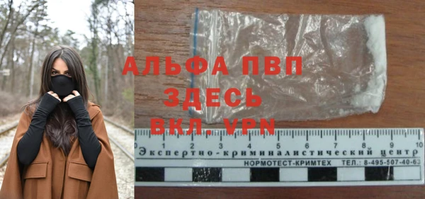 стафф Козельск