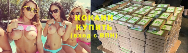 гидра Кодинск